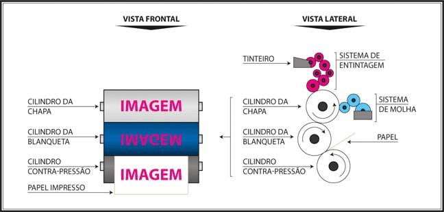 artigo 1.jpg